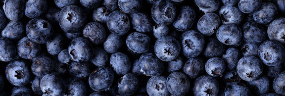 Blueberries2